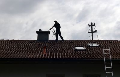 Professional Chimney Inspection